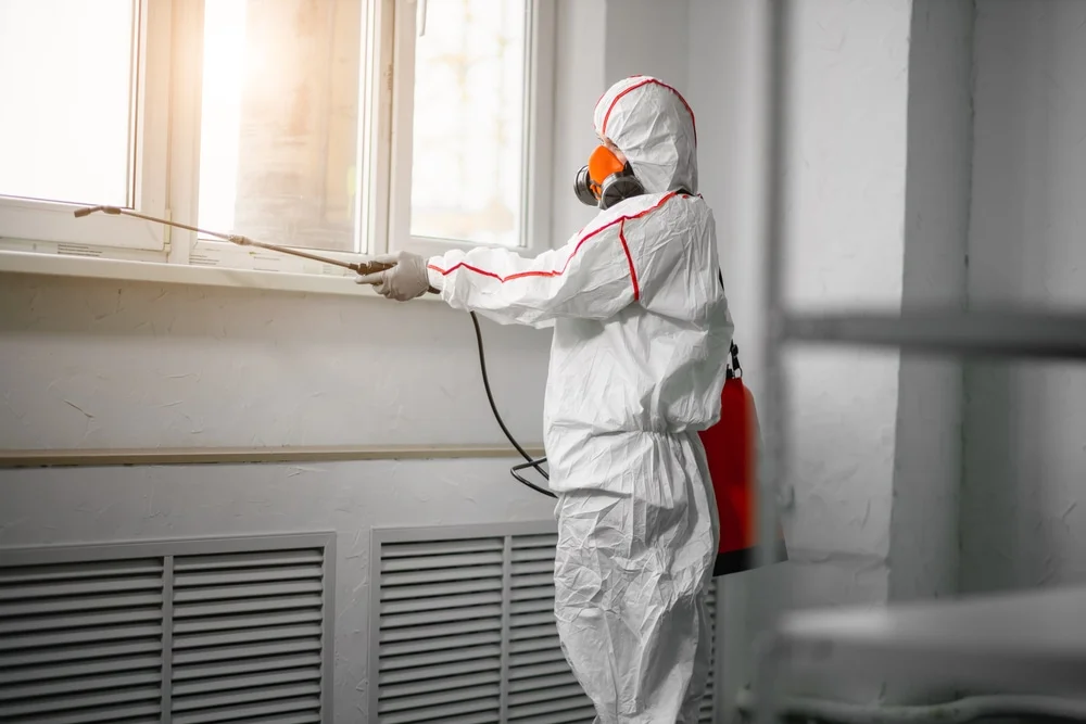 Professional mold remediation services in Mantua, OH
